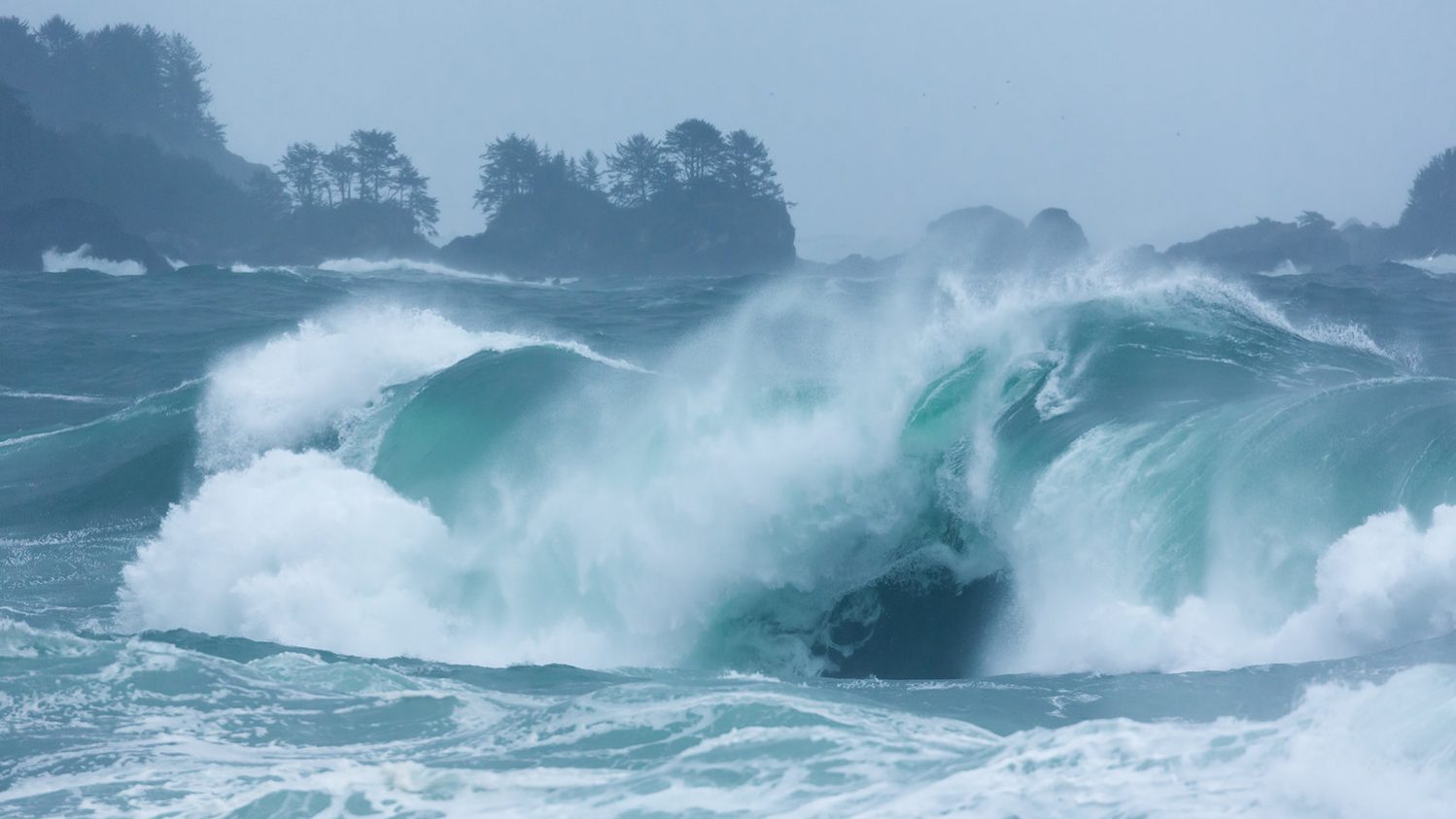 “Pacific Northwest”, photo courtesy of Jess Findlay. "Pacific Northwest", photo courtesy of Jess Findlay.