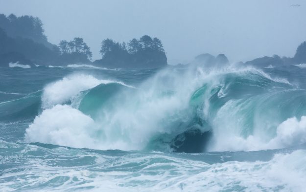 "Pacific Northwest", photo courtesy of Jess Findlay.