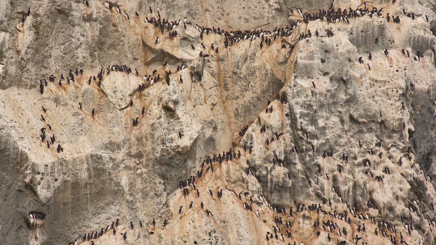 “Life on the edge” – photo courtesy of Jess Findlay