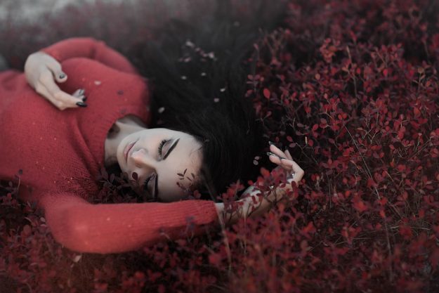 red-2605274_960_720