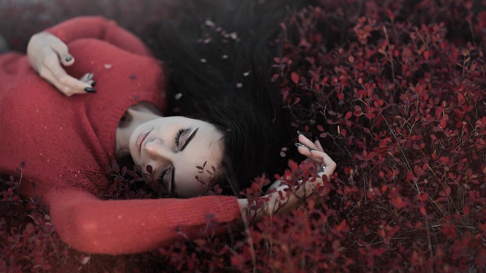 red-2605274_960_720